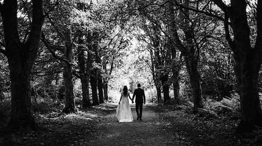A black and white, grainy film-style photograph of a couple walking away through a corridor of ancient trees in the Helix Park area of Falkirk. The composition is minimalist and artistic, focusing on the silhouette and the play of light through the leaves. The mood is nostalgic and archival, reminiscent of high-end fashion magazine wedding spreads.